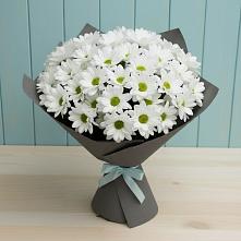 Букет цветов из:  Хризантемы в Персиановском