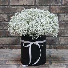 Цветочная композиция из Гипсофила в шляпной коробке в Персиановском