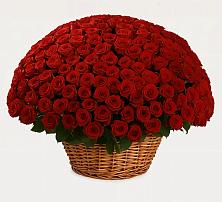 Премиум букет из: Розы в Персиановском